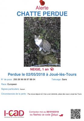 chat indre et loire